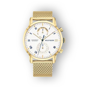 Tommy Hilfiger Kane 1710403