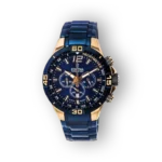 Festina Classics 20524/1