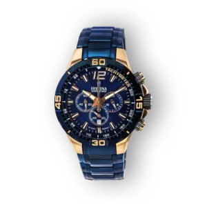 Festina Classics 20524/1