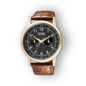 Citizen
  Eco-Drive AO9003-08E