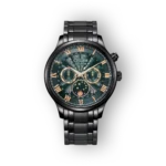 Citizen Eco-Drive AP1055-87X