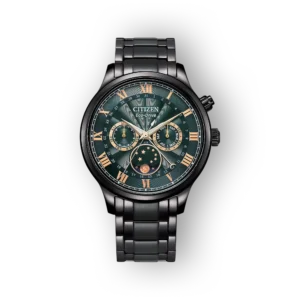 Citizen Eco-Drive AP1055-87X