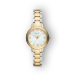 Emporio Armani AR11513