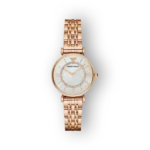 Emporio Armani Classic AR1909