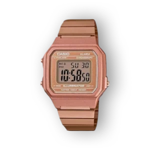 Casio Vintage
  B650WC-5AEF