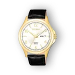 Citizen Quartz BF2003-25A