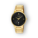 Citizen Quartz BI5012-53E