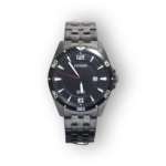 Citizen Quartz BI5055-51E