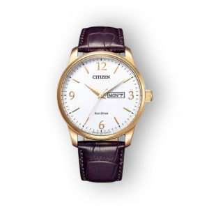 Citizen Eco-Drive BM8553-16A