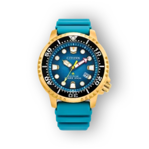 Citizen Promaster BN0162-02X