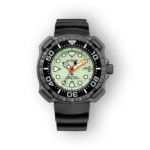 Citizen Promaster BN0227-17X