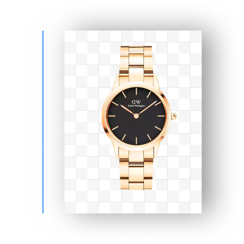 Daniel Wellington Iconic Link DW00100212
