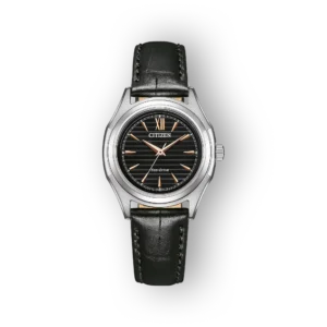 Citizen Eco-Drive FE2110-14E