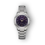Citizen Eco-Drive FE2110-81L