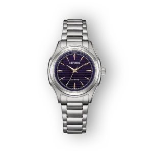 Citizen Eco-Drive FE2110-81L