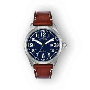 Citizen Eco-Drive BM6838-17L