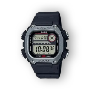 Casio Sports DW-291H-1BVDF