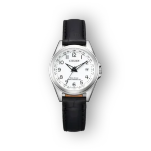 Citizen Eco-Drive EC1180-14A